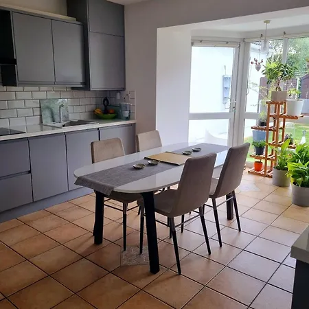 Kings To Enjoy The Stars