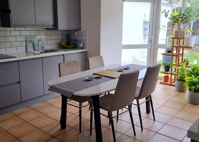 Kings To Enjoy The Stars