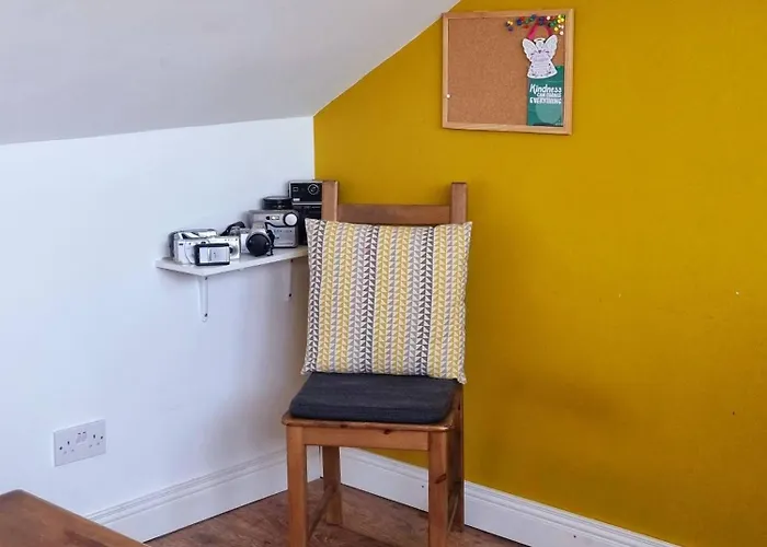 Kings To Enjoy The Stars *